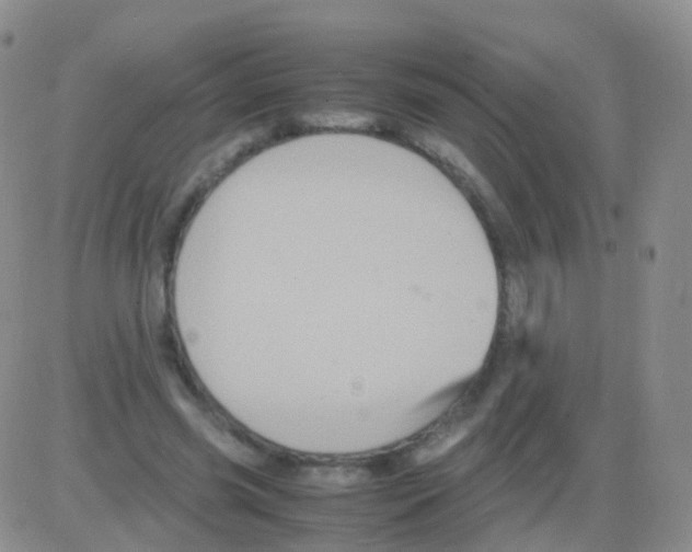 X0000082740541200702240015