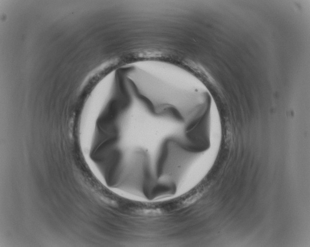 X0000082740543200702240015