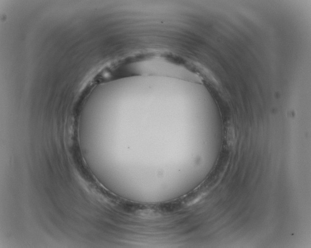 X0000082740544200702240015