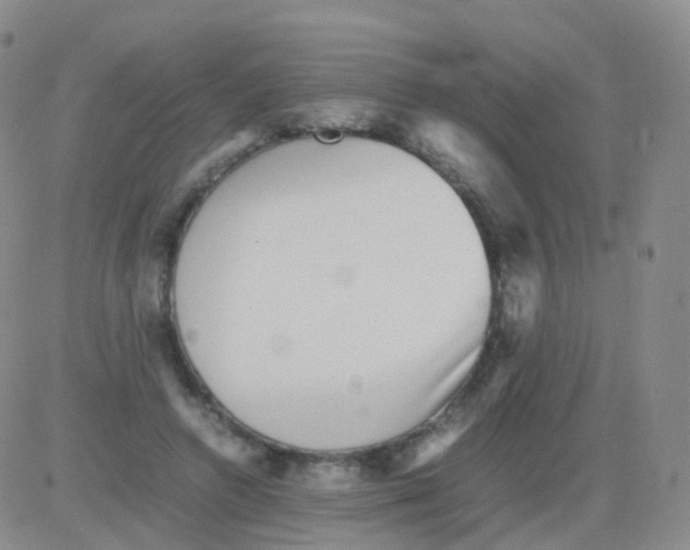 X0000082740546200702240015