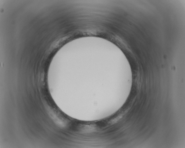 X0000082740548200702240015