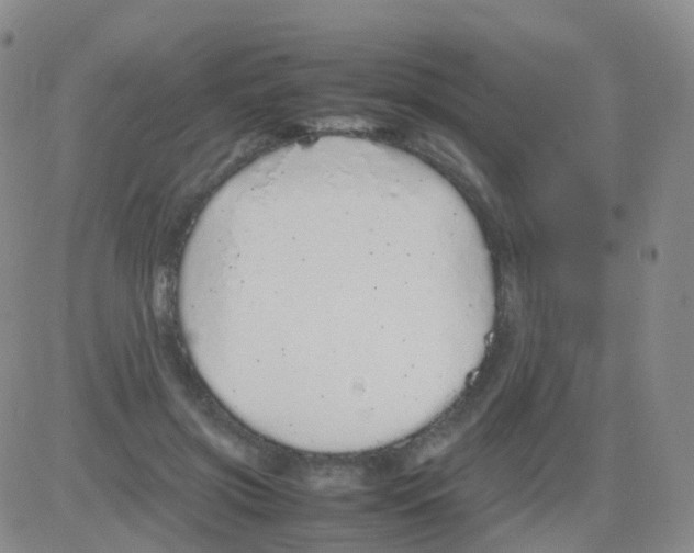 X0000082740549200702240015