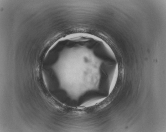 X0000082740552200702240015