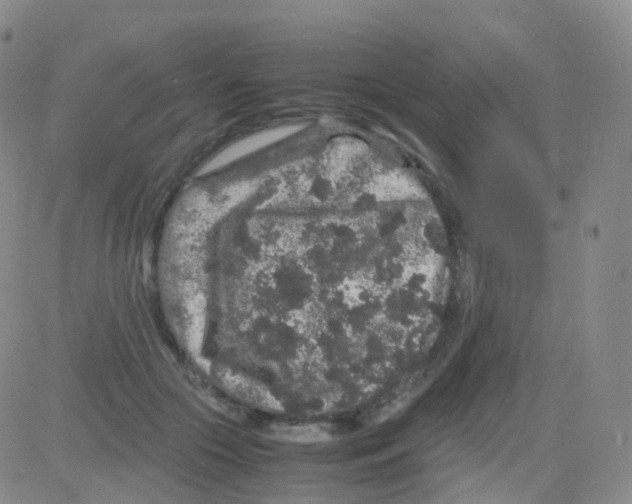 X0000082740553200702240015