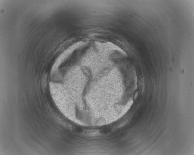 X0000082740554200702240016