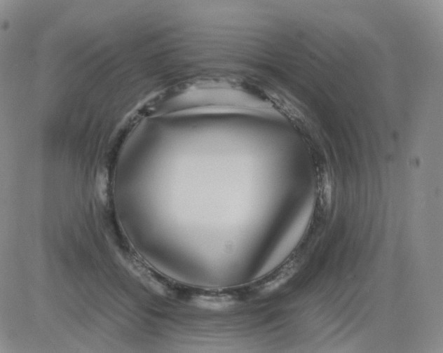 X0000082740556200702240016