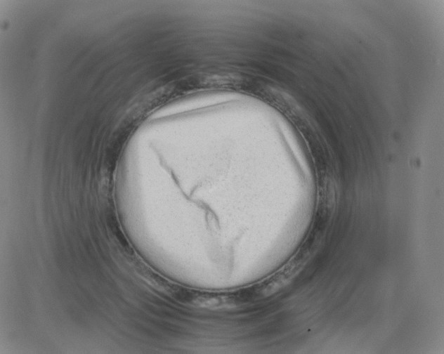 X0000082740557200702240016