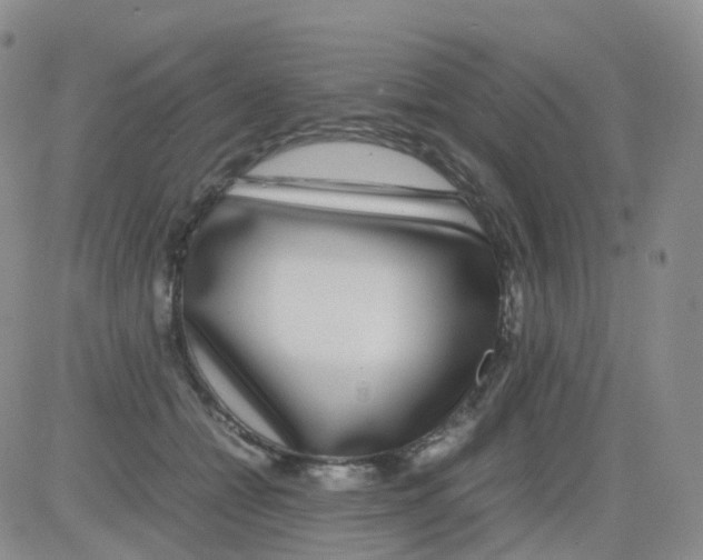 X0000082740558200702240016