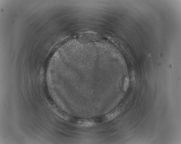 X0000082740559200702240016