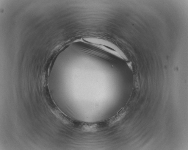 X0000082740560200702240016