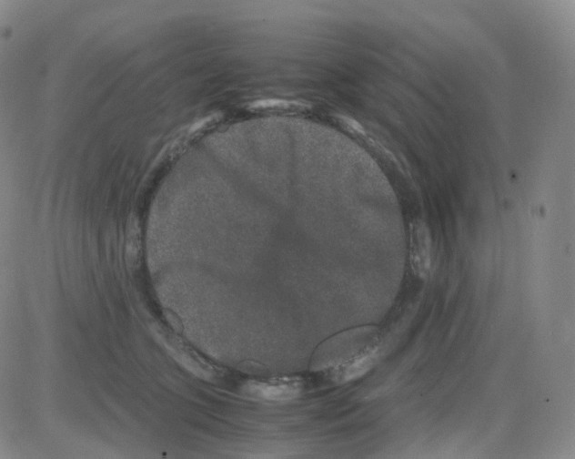 X0000082740563200702240016