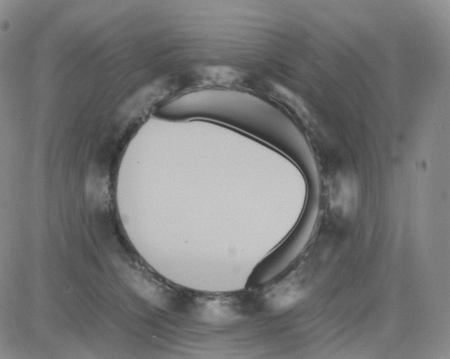 X0000082740564200702240016