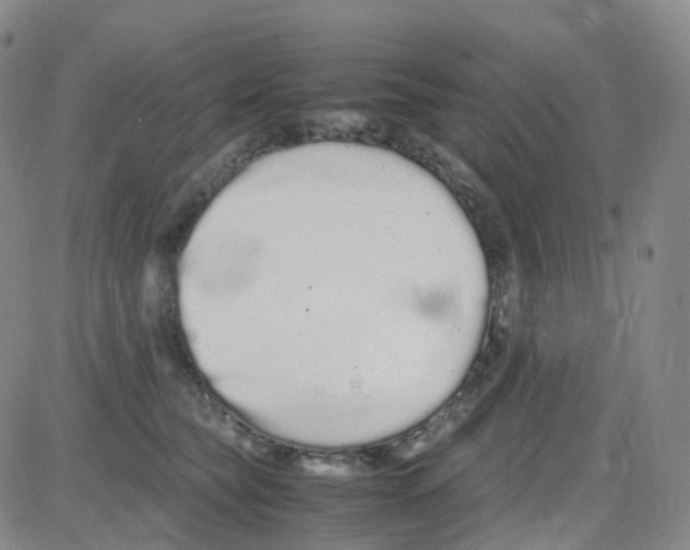 X0000082740565200702240016