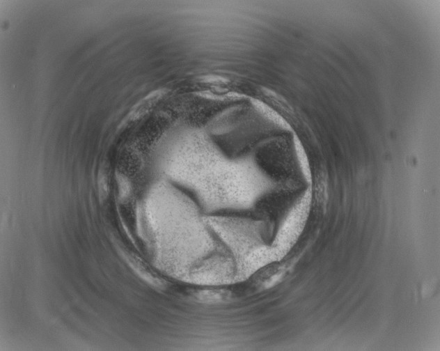 X0000082740566200702240016