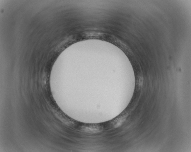 X0000082740567200702240016