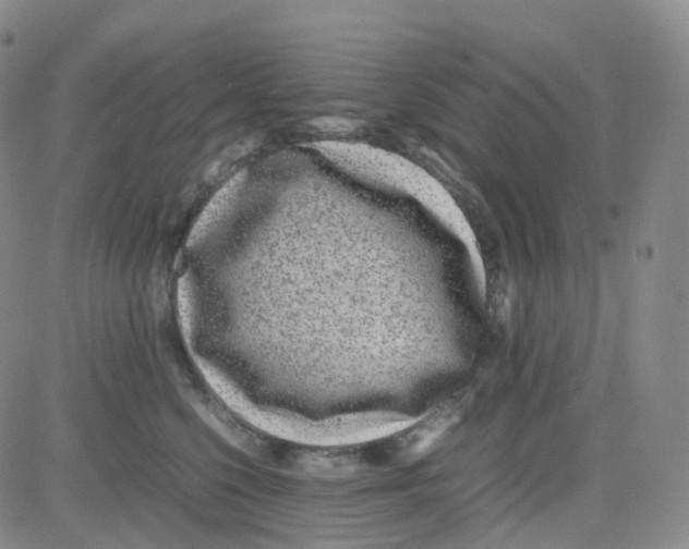 X0000082740568200702240016