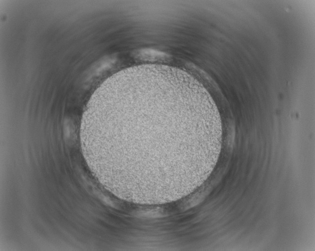 X0000082740569200702240016