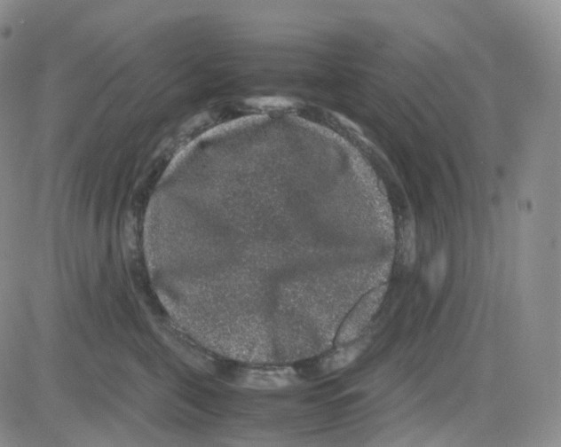 X0000082740571200702240016