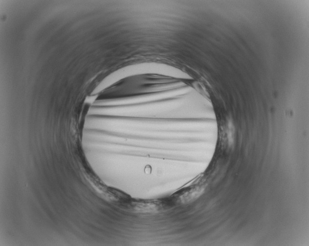 X0000082740572200702240016