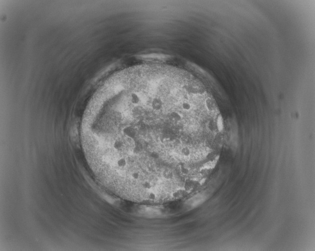 X0000082740573200702240016