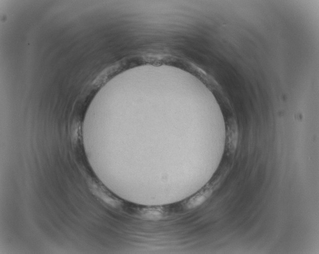 X0000082740574200702240016