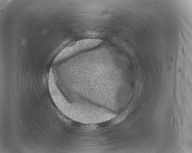 X0000082740576200702240016