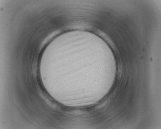 X0000082740578200702240015