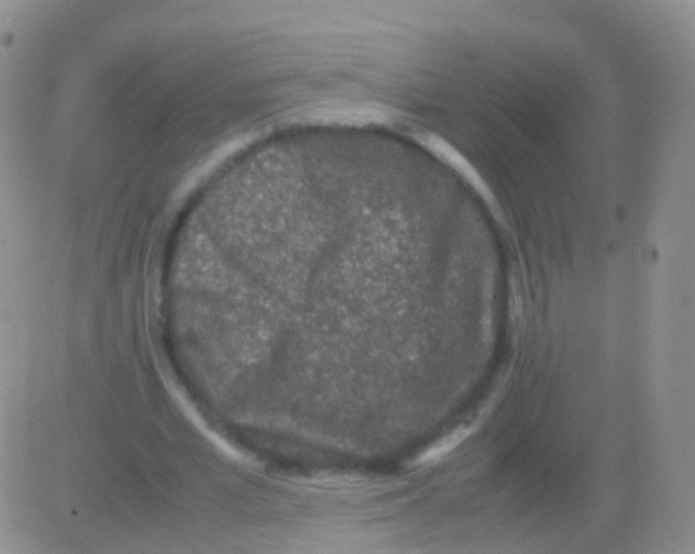 X0000082740581200702240015