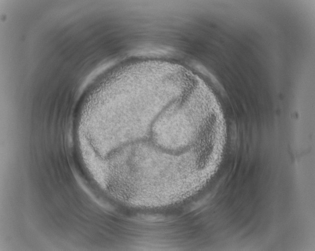 X0000082740582200702240015