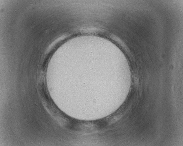 X0000082740583200702240015