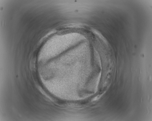 X0000082740585200702240015