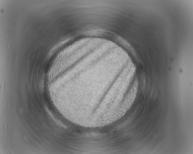 X0000082740586200702240015