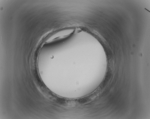 X0000082740587200702240015