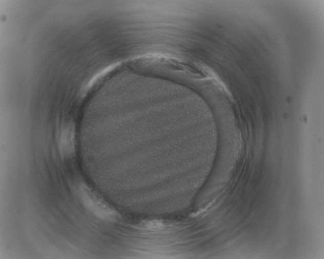 X0000082740588200702240015