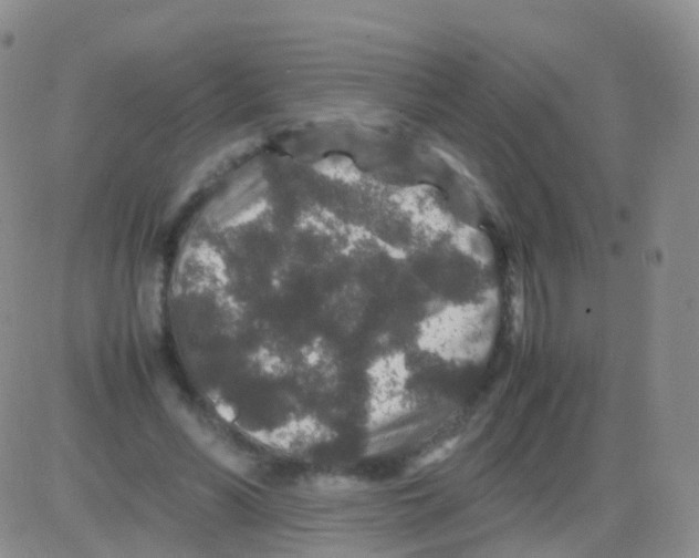 X0000082740590200702240015