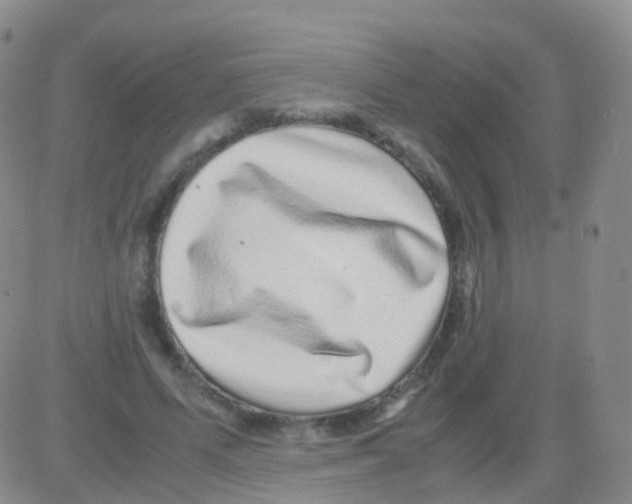 X0000082740591200702240015