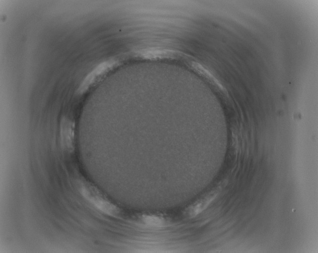 X0000082740592200702240015