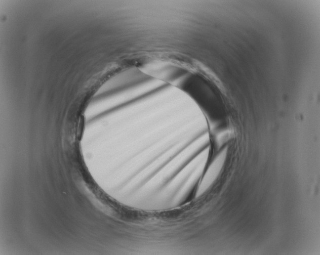 X0000082740593200702240015