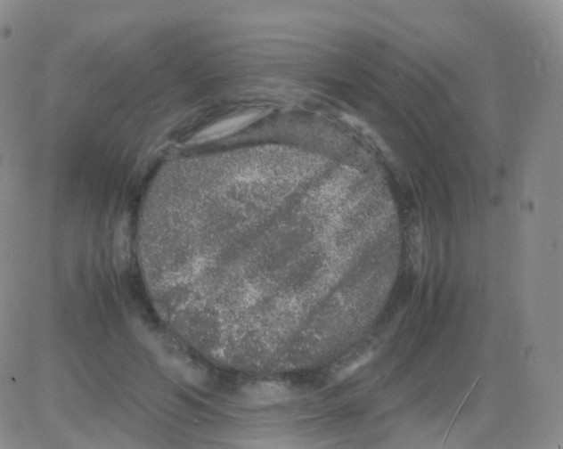 X0000082740594200702240015