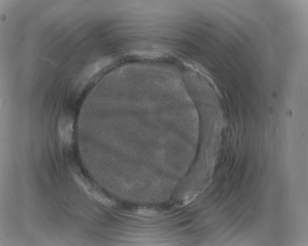 X0000082740596200702240015