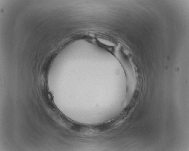 X0000082740597200702240015