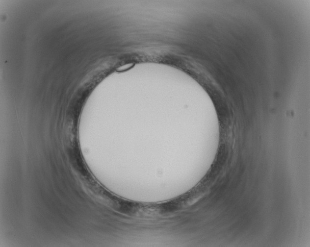 X0000082740599200702240015