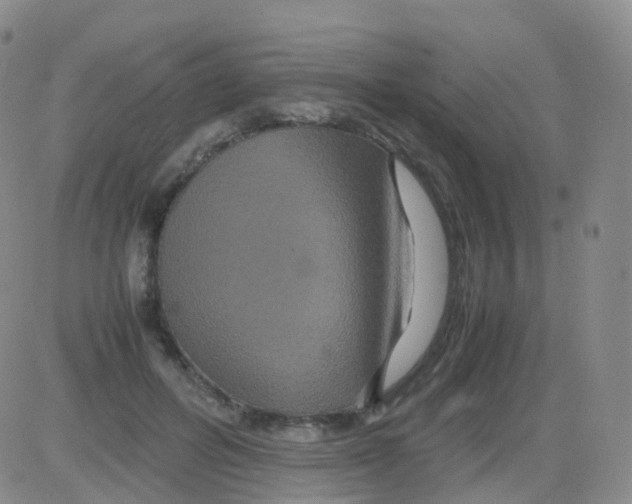 X0000082740600200702240015