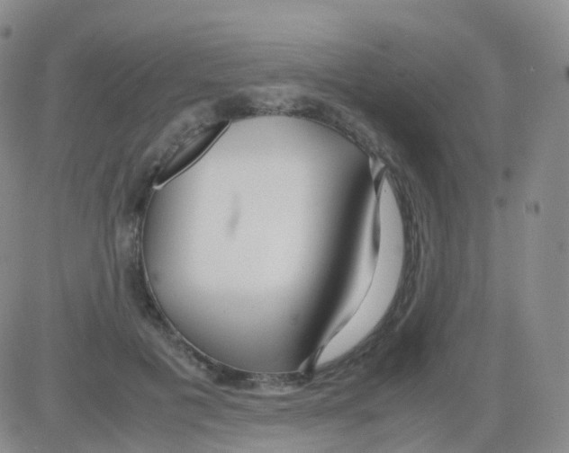 X0000082740601200702240015