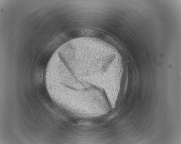 X0000082740602200702240015