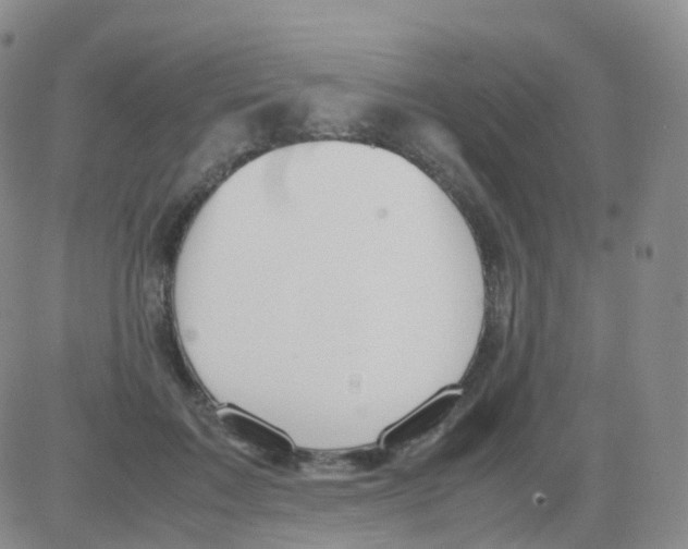 X0000082740603200702240015