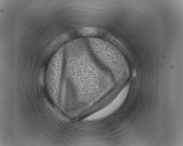 X0000082740604200702240015