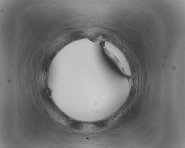 X0000082740605200702240015