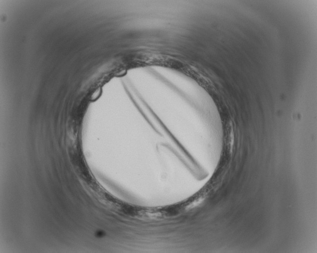 X0000082740607200702240015