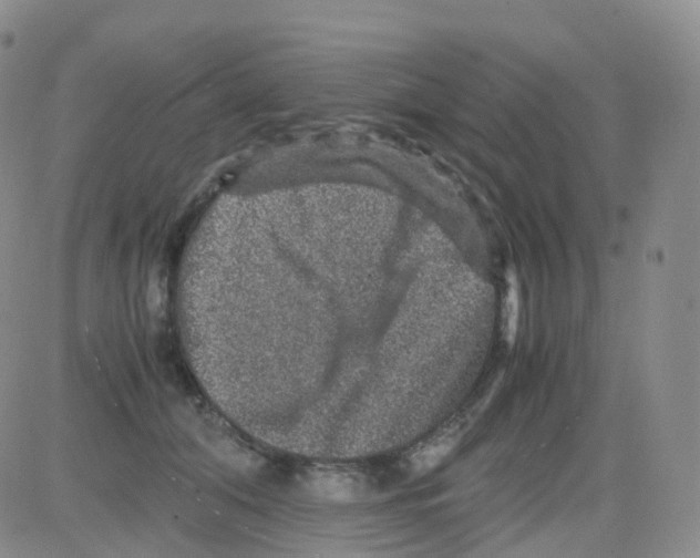 X0000082740608200702240015